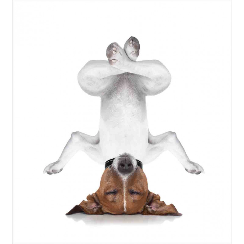 Dog Upside down Relax Duvet Cover Set
