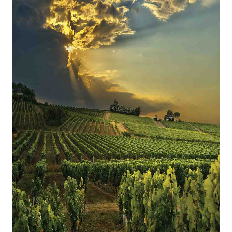 France Sunset Vineyard Duvet Cover Set