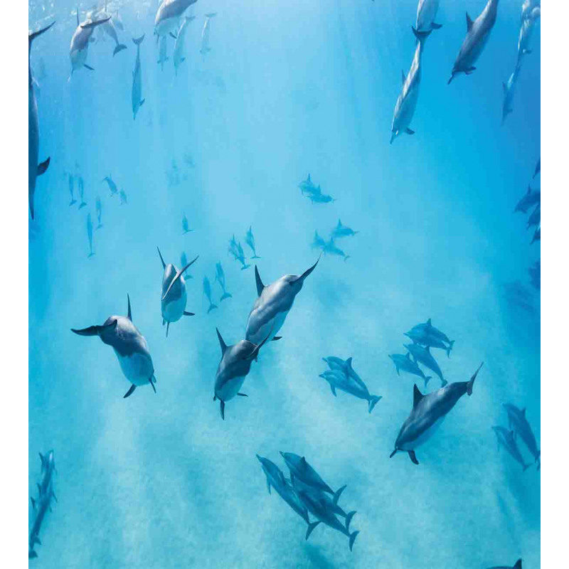 Dolphins Hawaii Ocean Duvet Cover Set