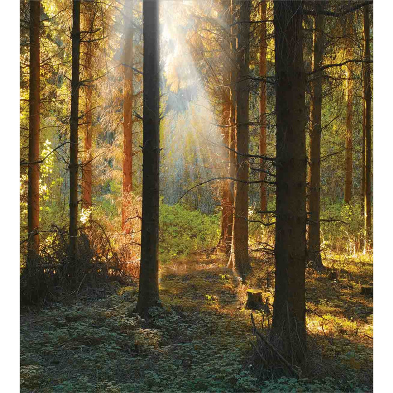 Sunset Dark Pine Trees Duvet Cover Set
