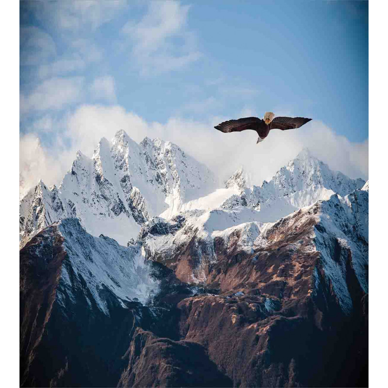 Mountain Flying Eagle Duvet Cover Set