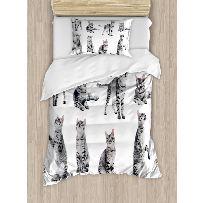 Striped Furry Animal Posing Duvet Cover Set