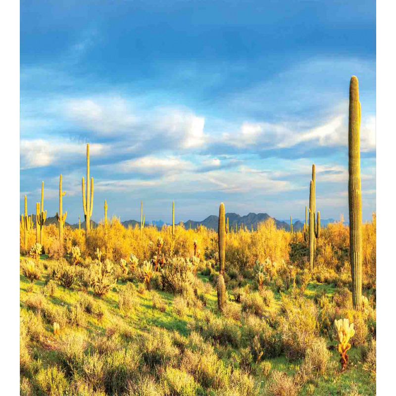 Western Cactus Spikes Duvet Cover Set