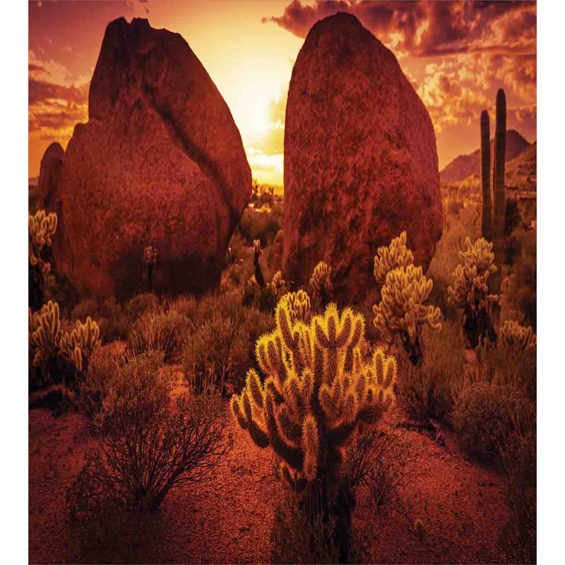 Cactus Rocks Desert Scenery Duvet Cover Set