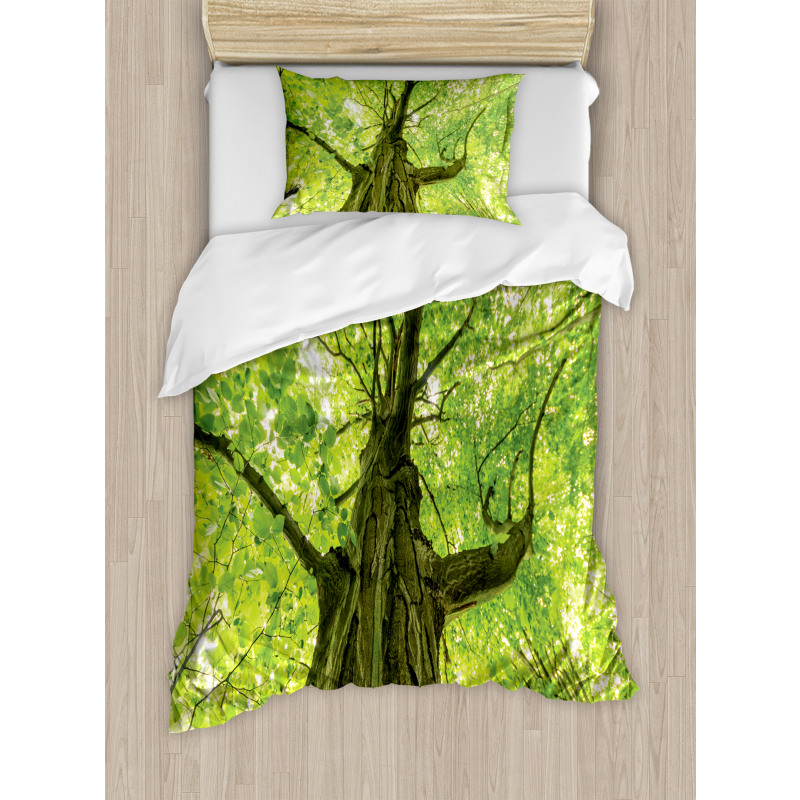 Old Big Majestic Tree Duvet Cover Set