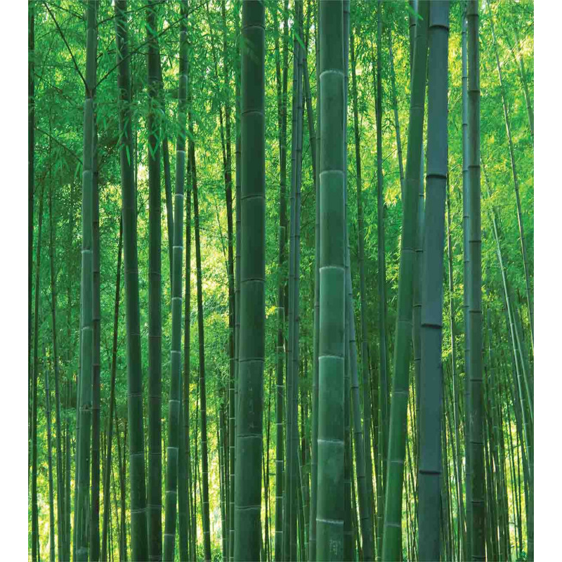 Green Wild Exotic Bamboo Duvet Cover Set
