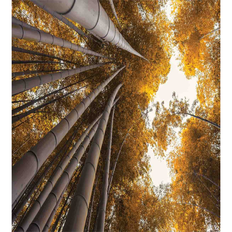 Fall Landscape Bamboo Duvet Cover Set