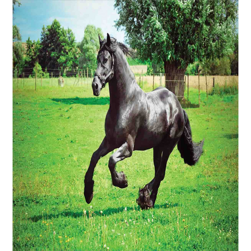 Friesian Horse Duvet Cover Set