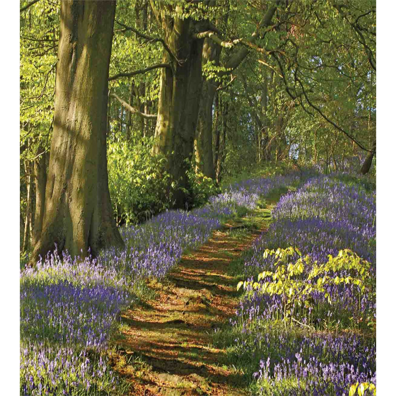 Path Between Bluebells Duvet Cover Set