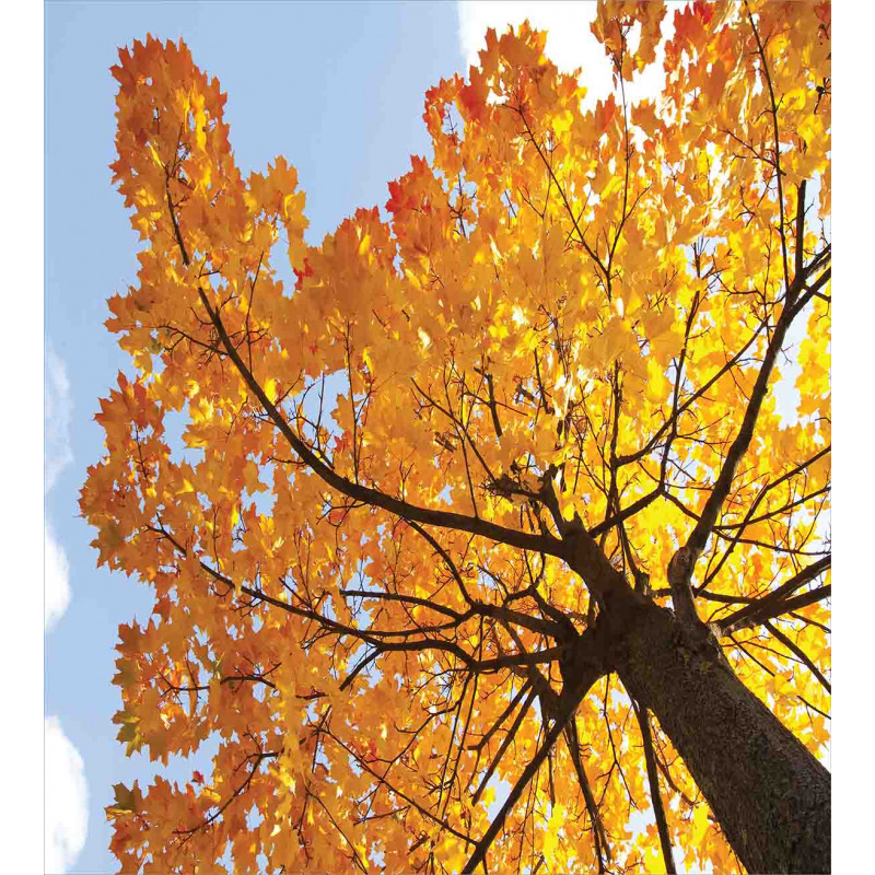 Maple Leaves Fall Autumn Duvet Cover Set