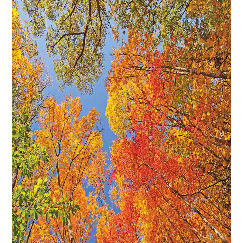 Forest in Autumn Duvet Cover Set