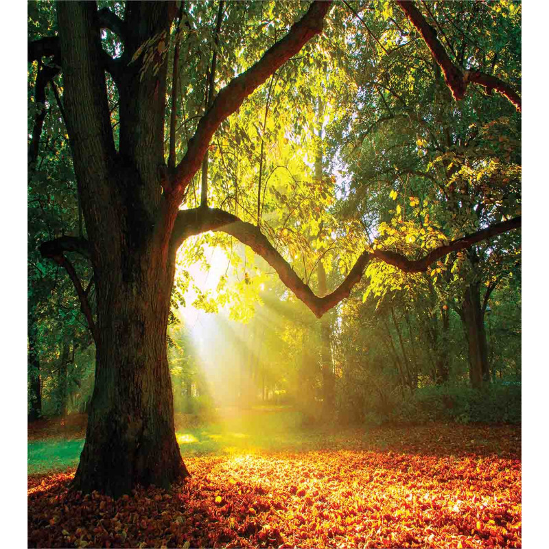 Oak Autumn Leaves Hazy Duvet Cover Set