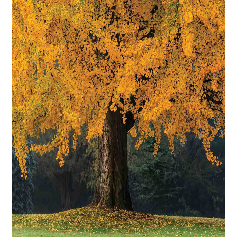 Leaves Tree Autumn Season Duvet Cover Set