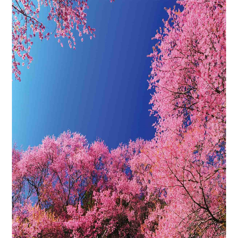 Cherry Blossom Trees Duvet Cover Set