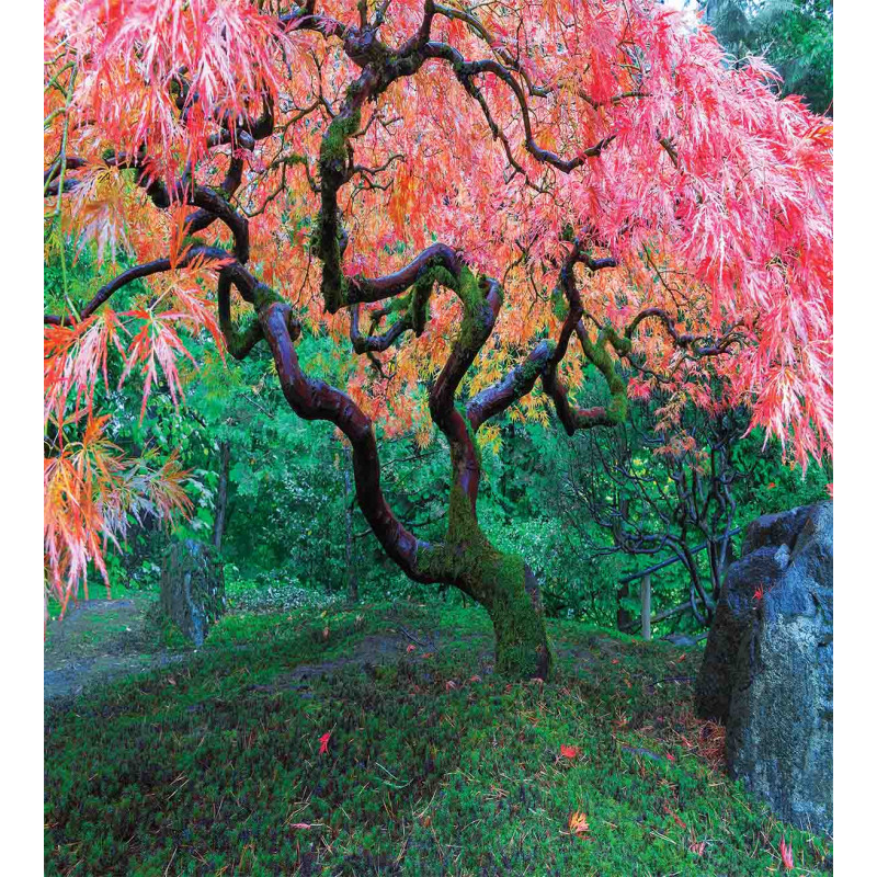 Red Leaf Maple in Garden Duvet Cover Set
