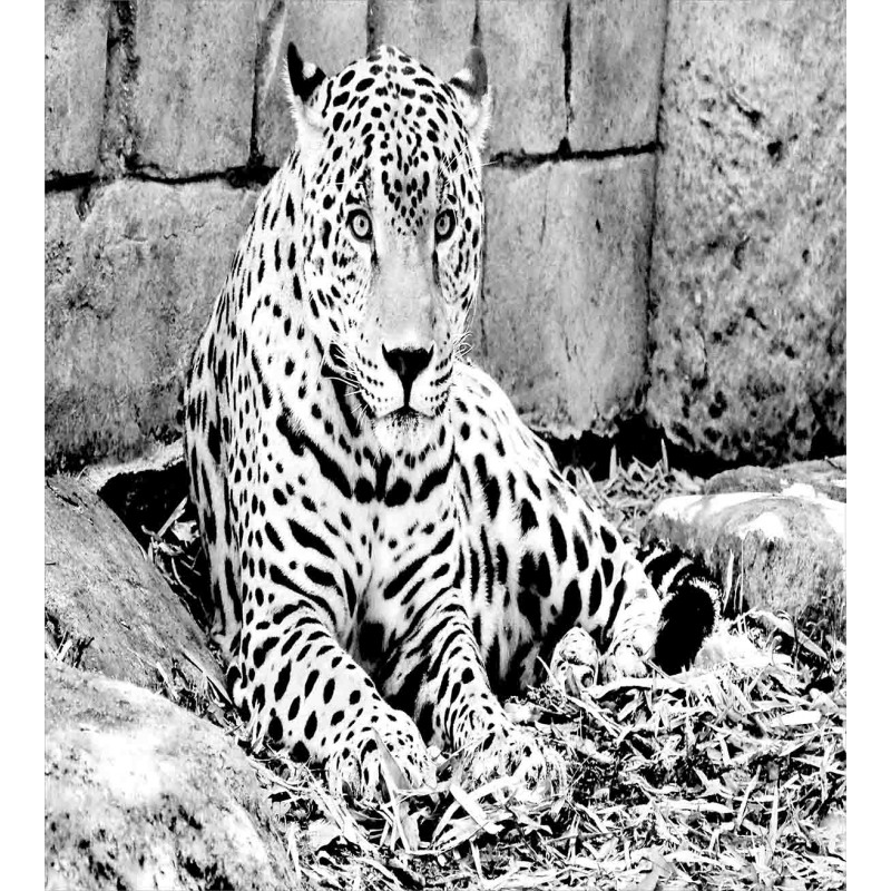 Wild Tiger Jaguar Duvet Cover Set