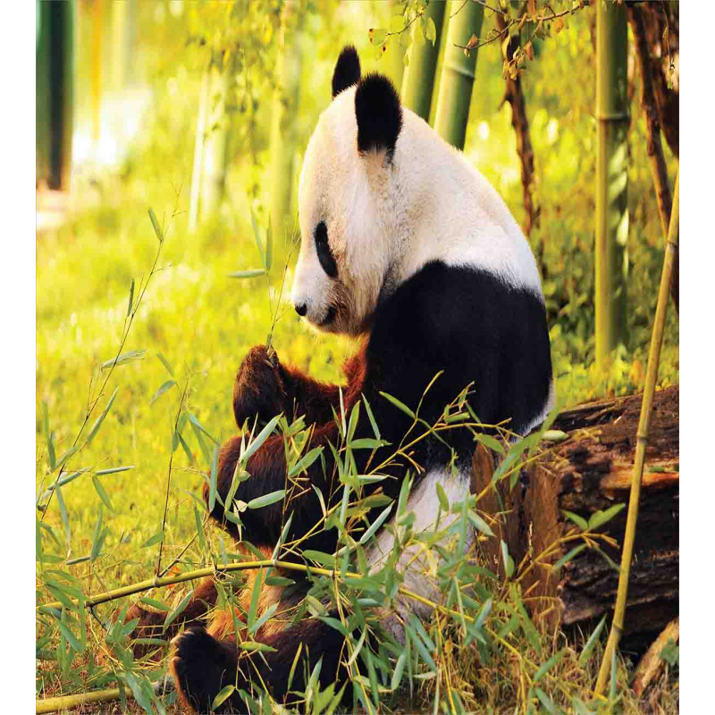 Panda Sitting in Forest Duvet Cover Set