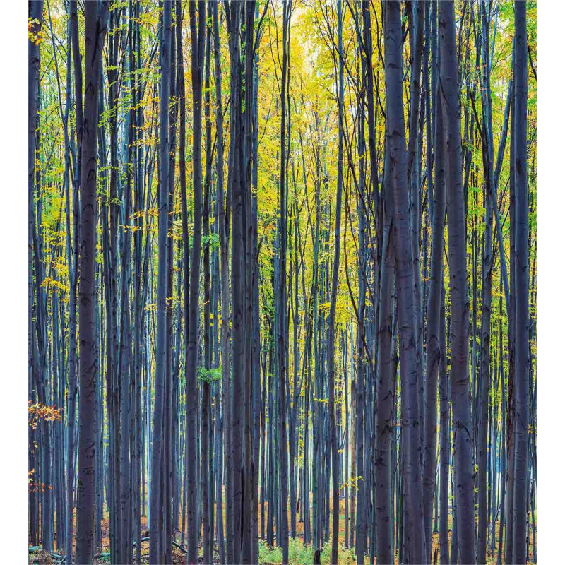 Autumn Woodland Nature Duvet Cover Set