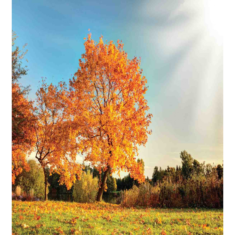 Maple Tree in Autumn Duvet Cover Set