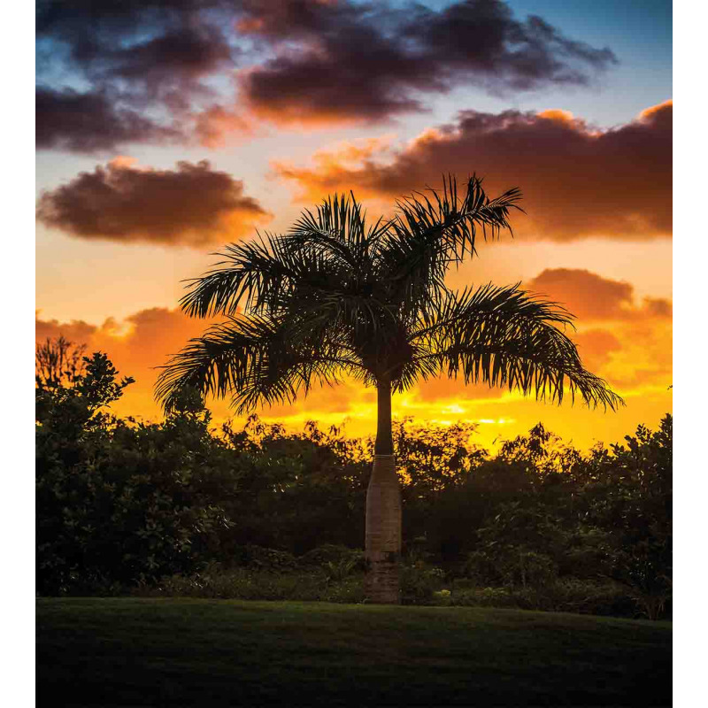 Exotic Tree at Sunset Duvet Cover Set