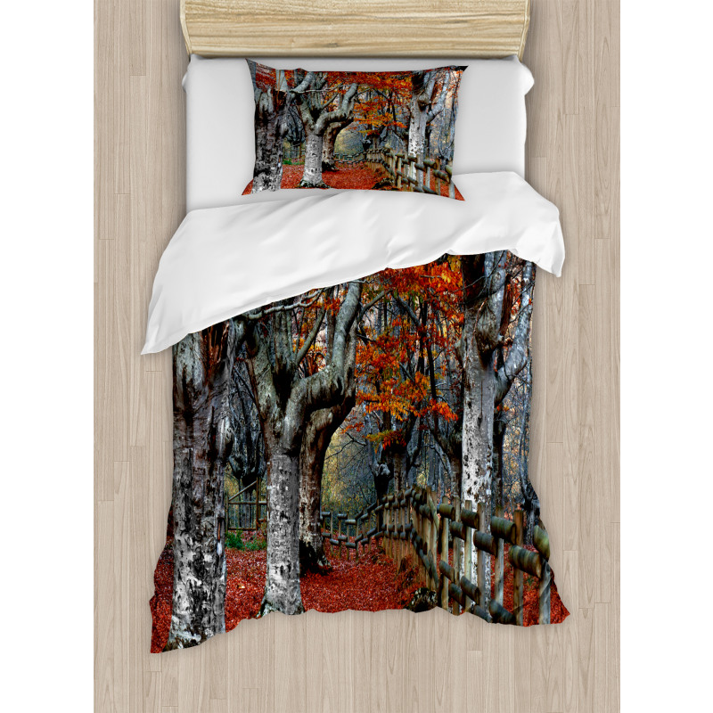 Beech Forest Autumn Duvet Cover Set