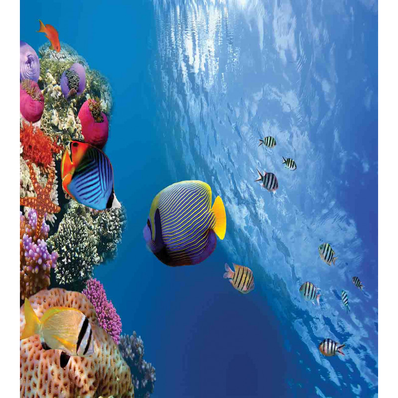 Underwater Fish Sea Duvet Cover Set