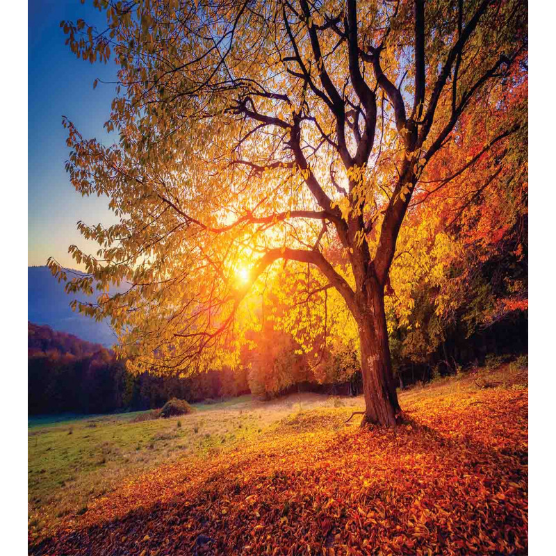 Autumn Fall Tree Leaves Duvet Cover Set