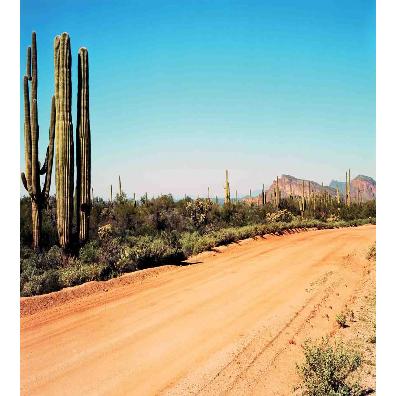 American Desert Cactus Duvet Cover Set