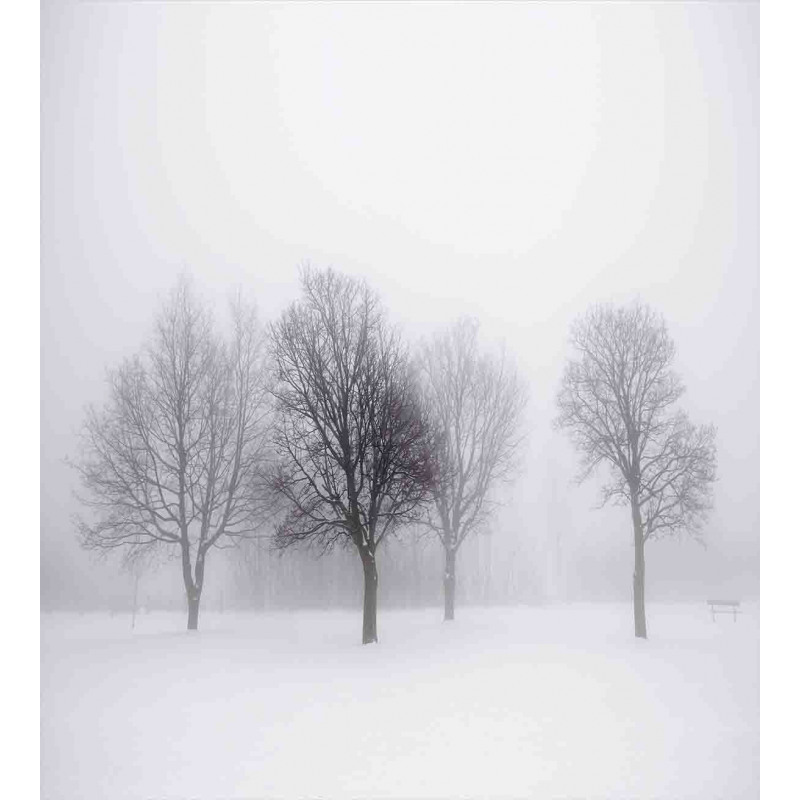 Misty Winter Scenery Duvet Cover Set