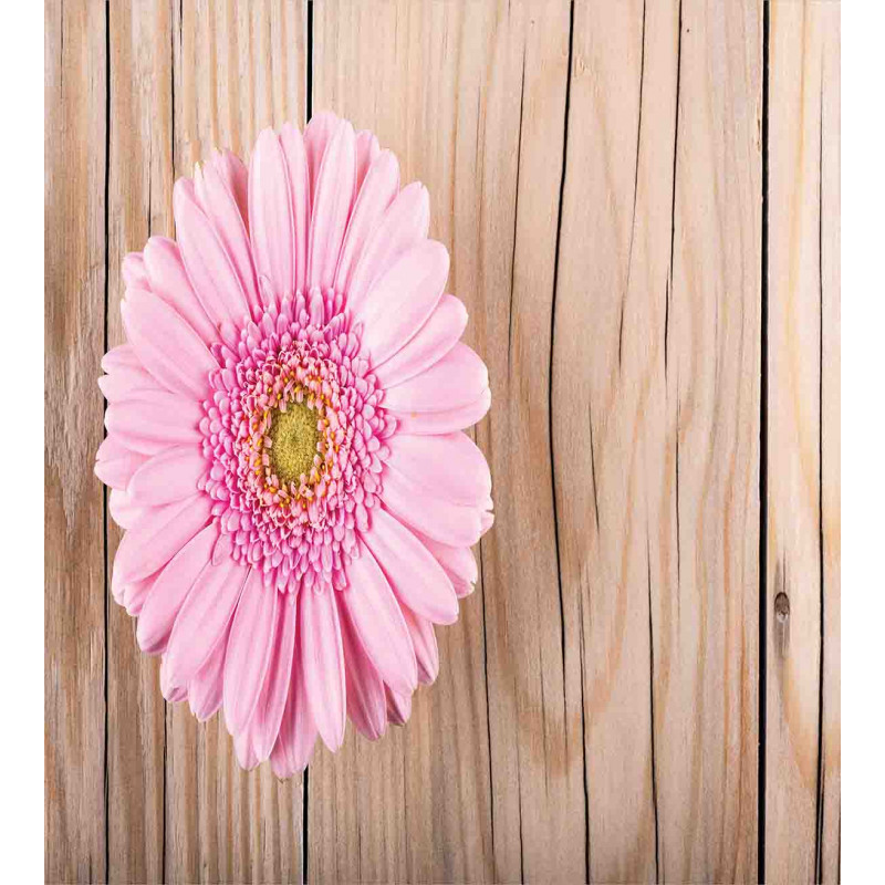 Pink Gerber on Wooden Duvet Cover Set