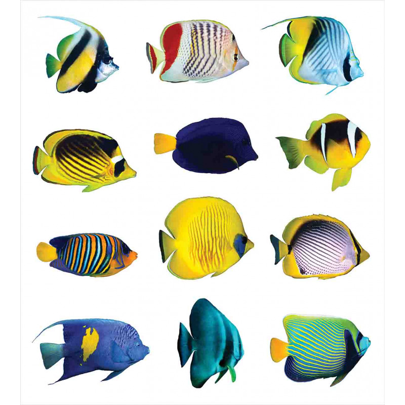 Collage of Sea Animals Duvet Cover Set