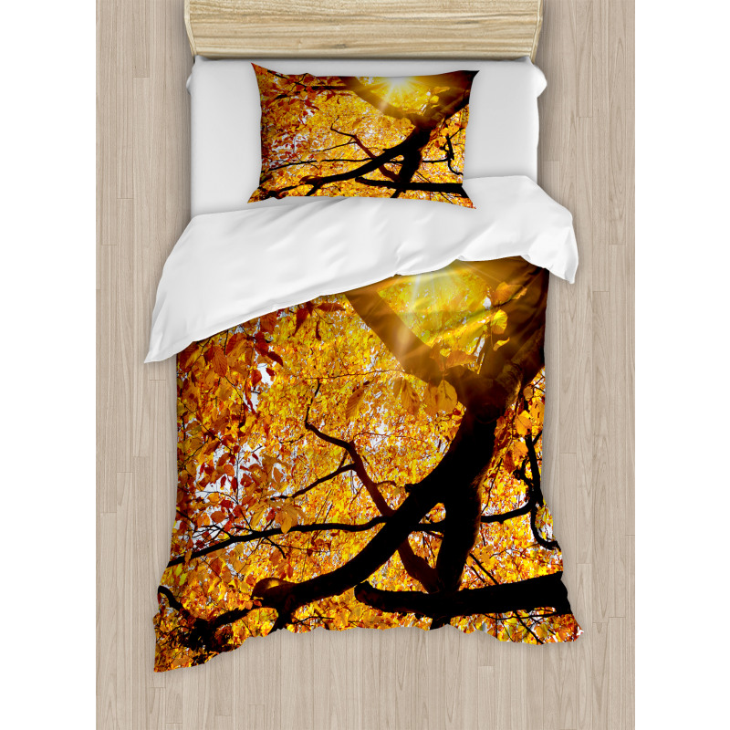 Sun in October Harvest Duvet Cover Set