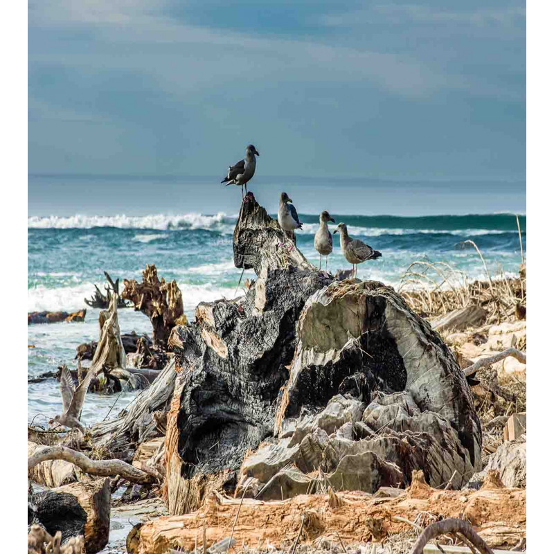 Driftwood Shore Seagull Duvet Cover Set
