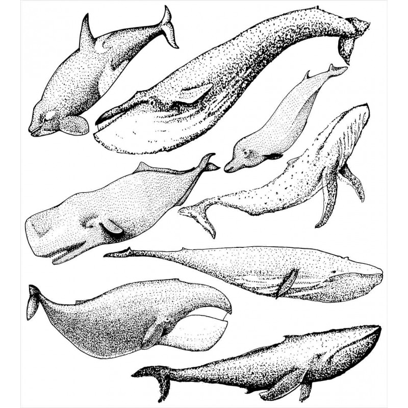Hand Drawn Single Whale Duvet Cover Set