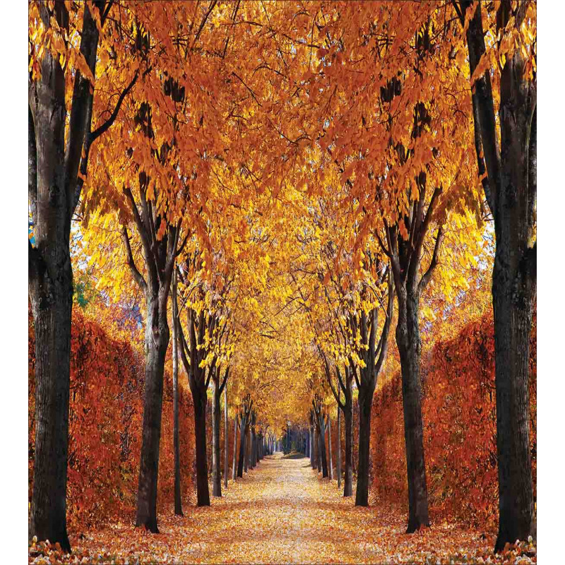 Pathway in the Woods Duvet Cover Set