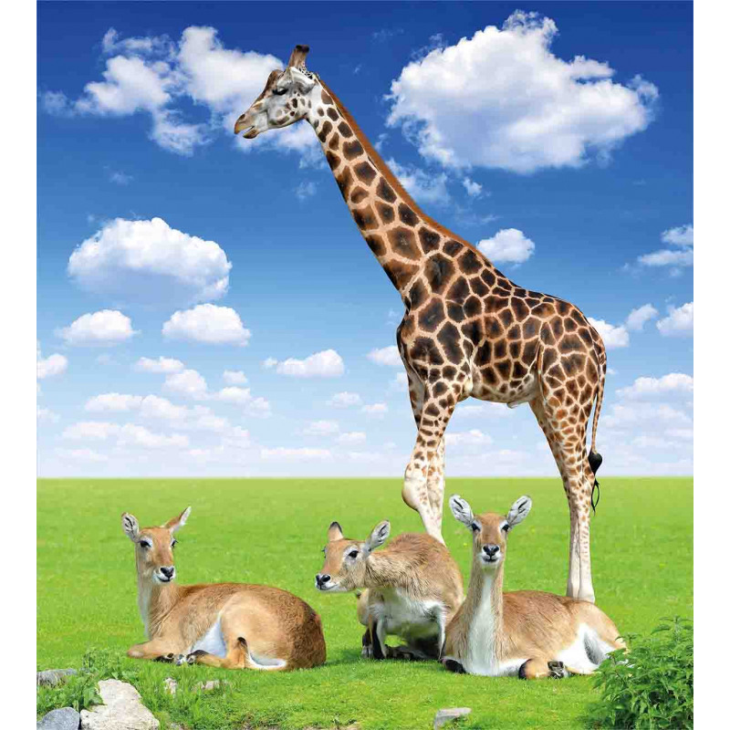 Zoo Animals Duvet Cover Set