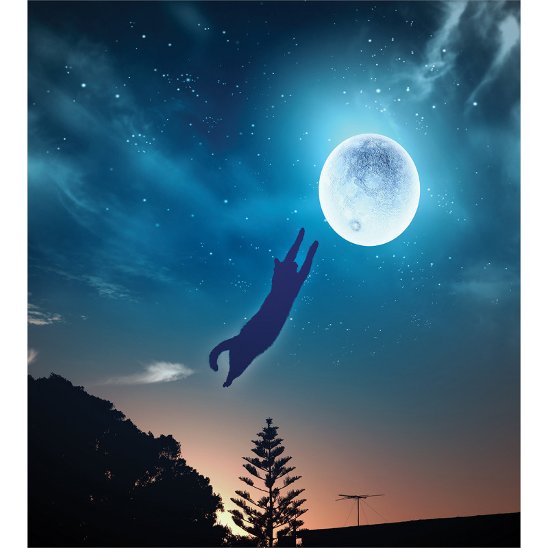 Cat Catching Moon Stars Duvet Cover Set