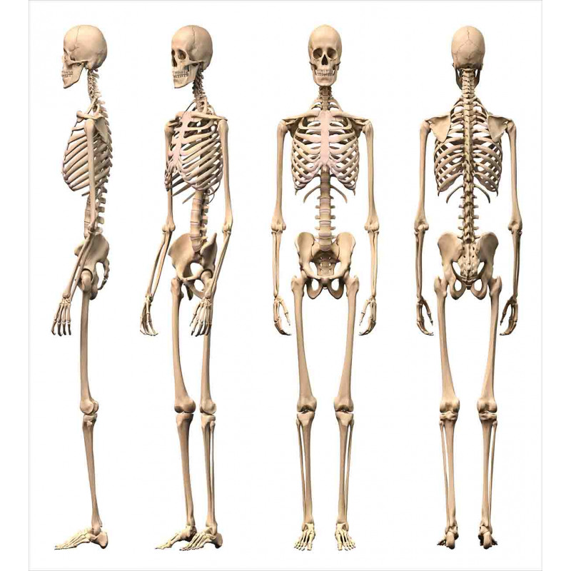 Medical Skeleton Duvet Cover Set