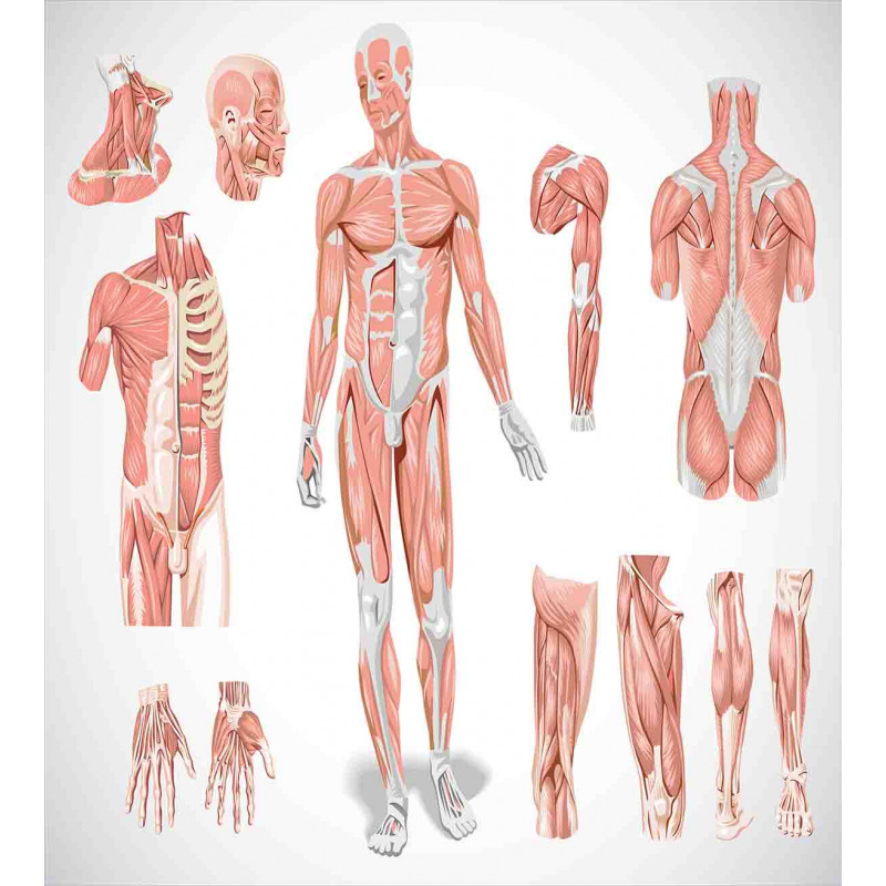 Biology Human Medical Duvet Cover Set
