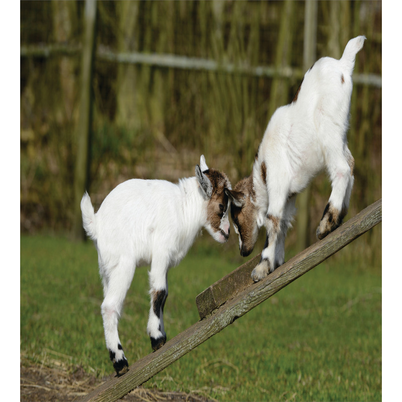 Farm Life with Goats Duvet Cover Set