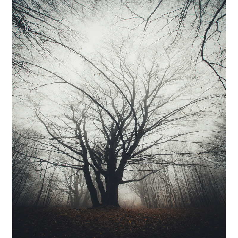 Autumn Tree in Fog Dark Duvet Cover Set