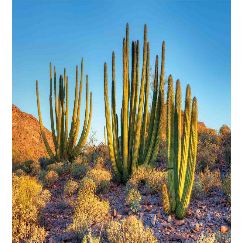 Mountain Cactus Photo Duvet Cover Set