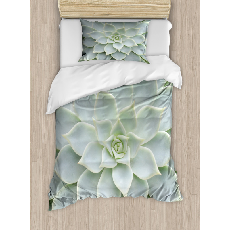 Cactus Flowers Photo Duvet Cover Set