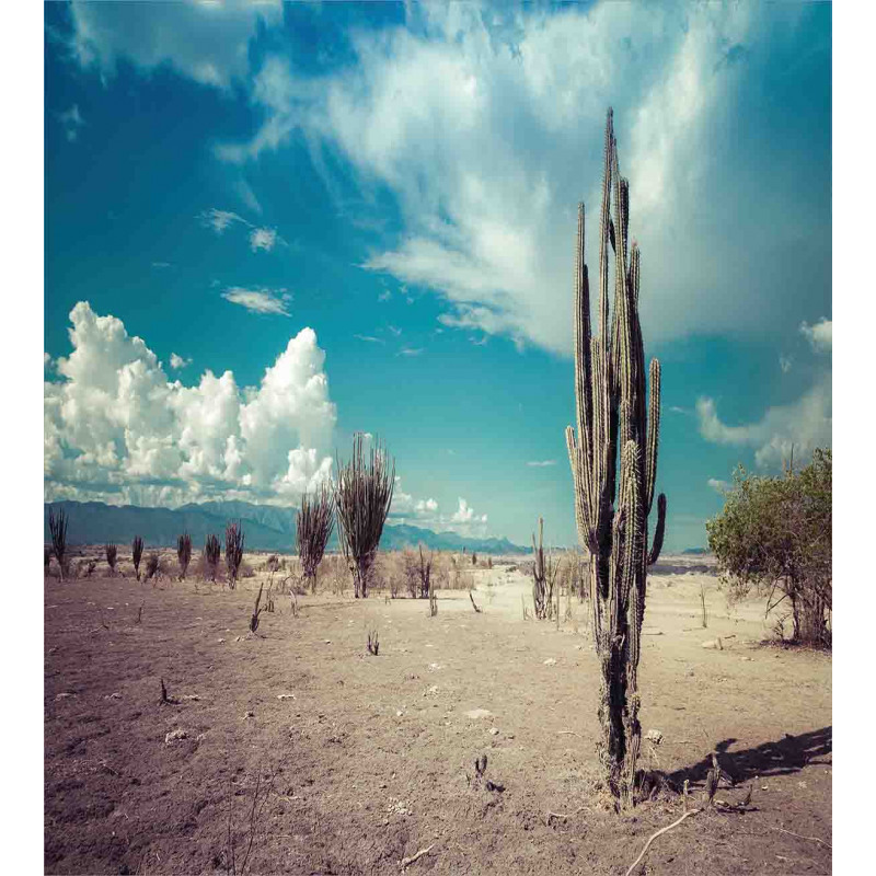 Sunny Hot Desert Plant Duvet Cover Set
