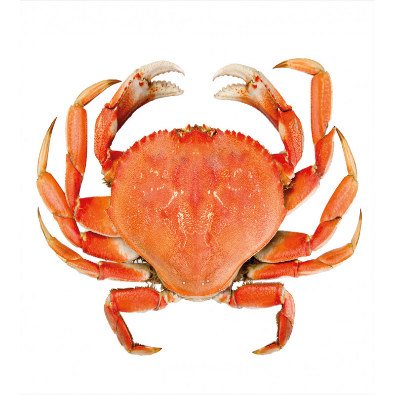 Cooked Dungeness Crab Duvet Cover Set