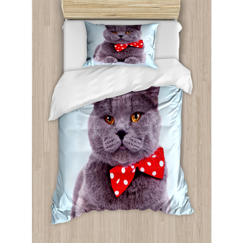 Grey Scottish Fold Theme Duvet Cover Set