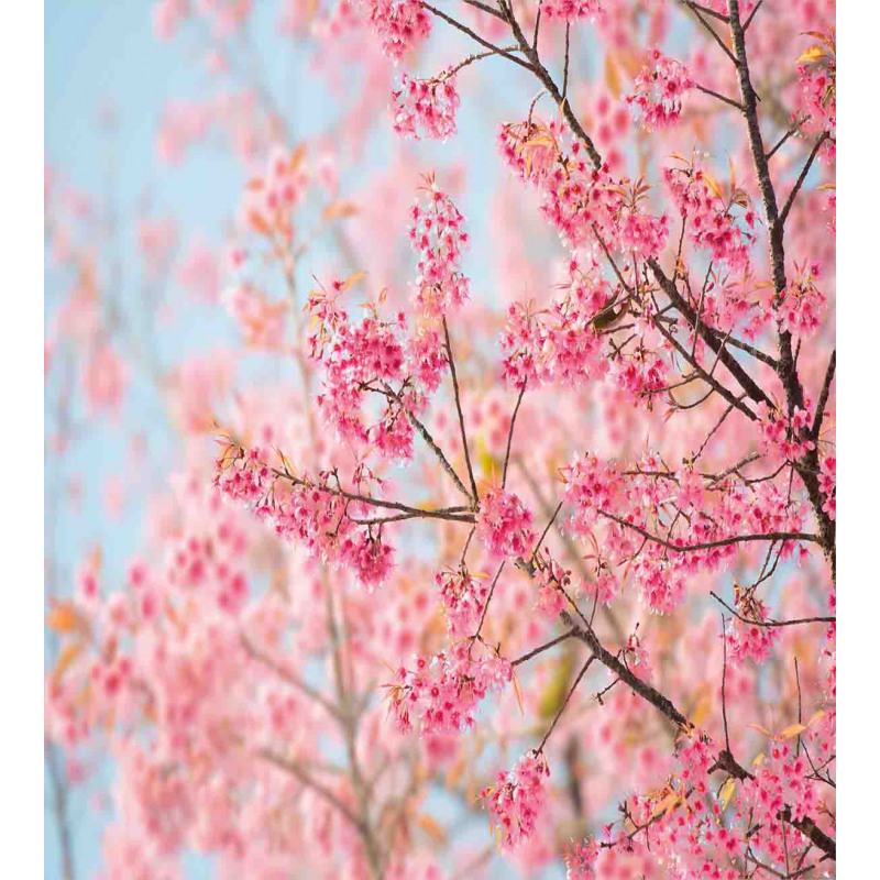 Japanese Sakura Cherry Duvet Cover Set