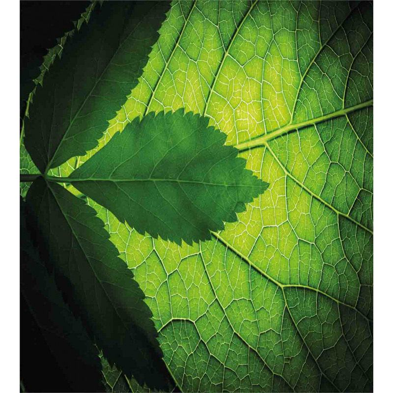 Brazilian Tree Leaf Eco Duvet Cover Set