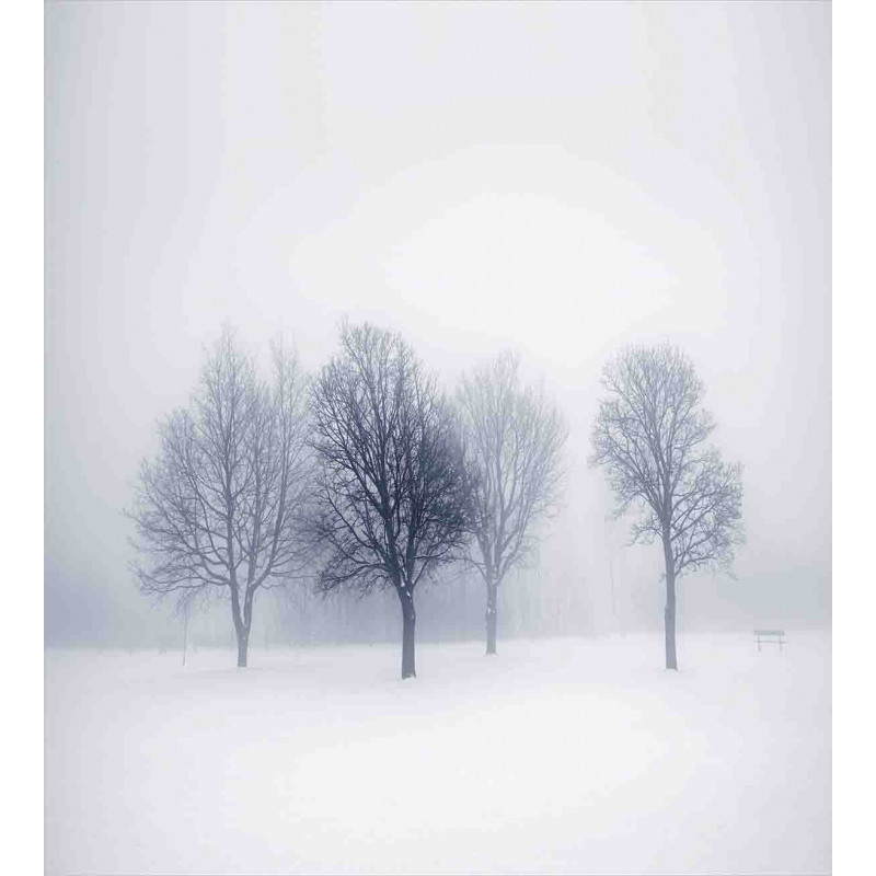 Winter Leafless Forest Duvet Cover Set