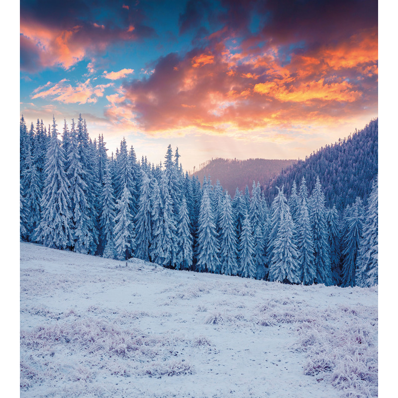 Winter Snowy Forest Sky Duvet Cover Set